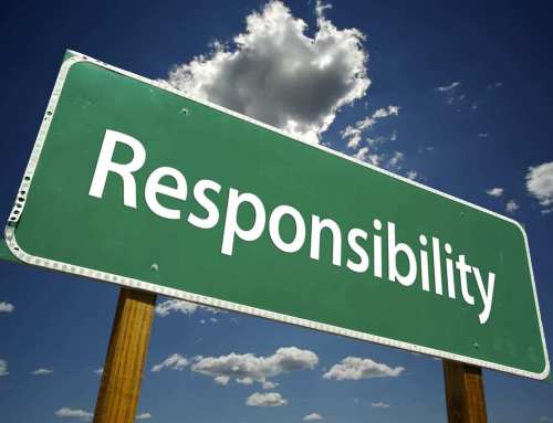 With great power comes great responsibility – Directors Responsibilities